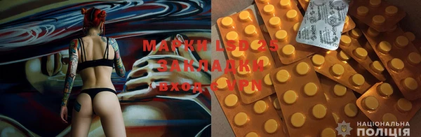стафф Горняк