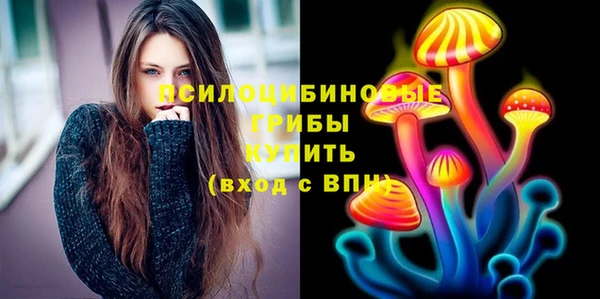 ГАЛЛЮЦИНОГЕННЫЕ ГРИБЫ Горно-Алтайск