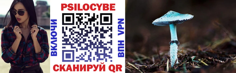 Псилоцибиновые грибы MAGIC MUSHROOMS  Купить где  Онега 